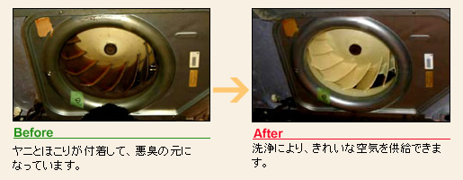 左：洗浄前の写真　右：洗浄後の写真
