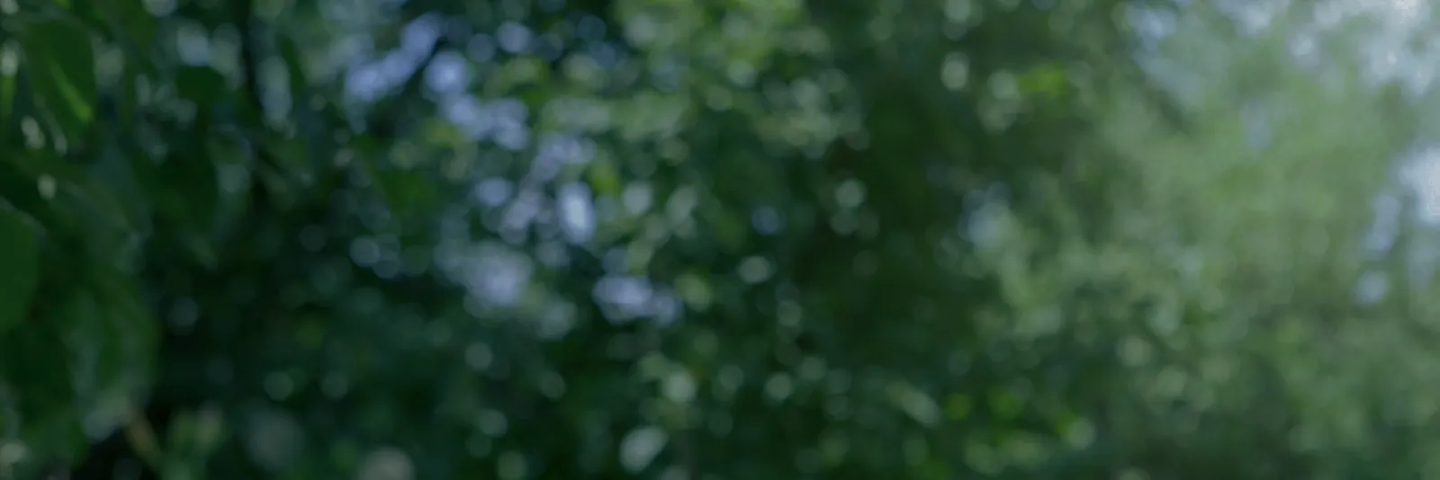 制度・福利厚生